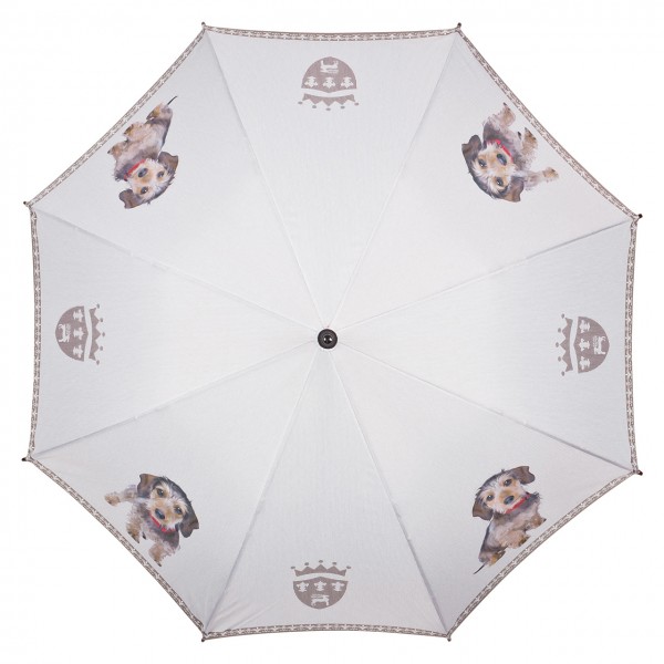 Regenschirm Automatik Rauhaardackel