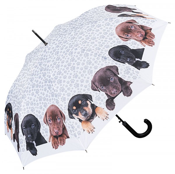 Umbrella Automatic Dog Puppies quartet