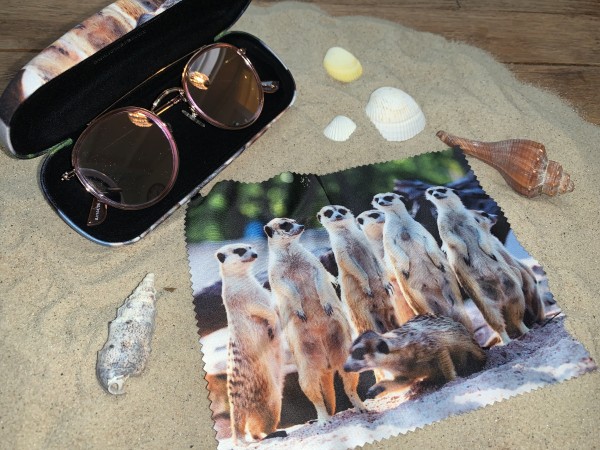 4 Stück Brillenetui Hardcase Mit Putztüchern - Robuste Brillenbox In 4 Farben